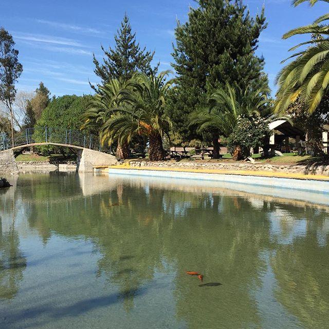 Fotografía 6 de Centro Turístico La Herradura en Isla De Maipo, Metropolitana