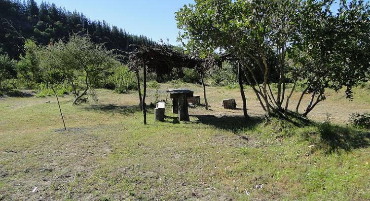 Fotografía 3 de Camping Aguas Cálidas en Linares, Maule