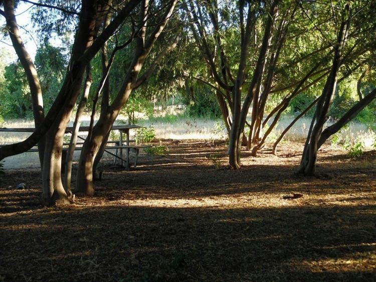 Fotografía 14 de Camping Aguas Cálidas en Linares, Maule