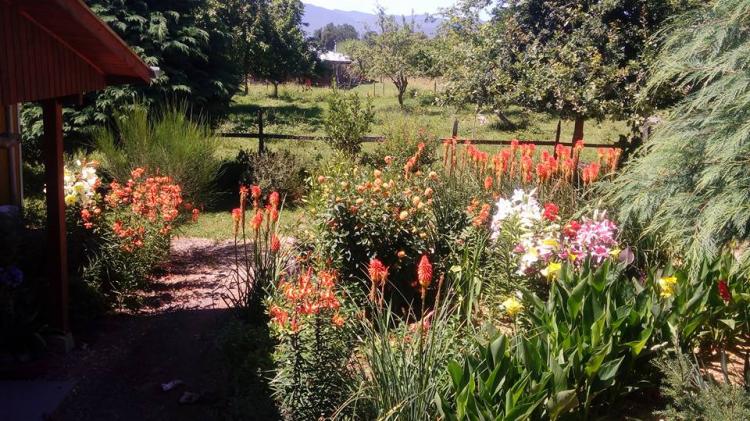 Fotografía 3 de Camping Agroturismo Llanca Lafquen en Panguipulli, Los Rios