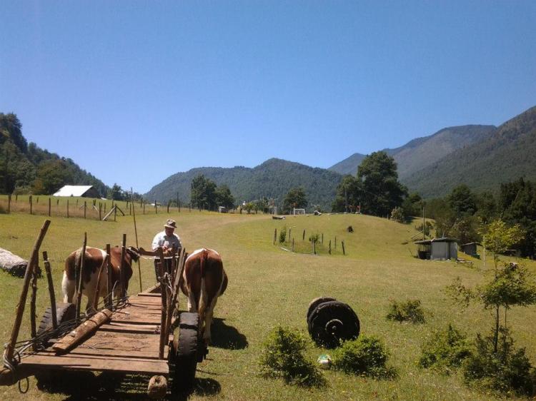 Fotografía 3 de Agro Camping La Araucaria en Pucon, Araucania