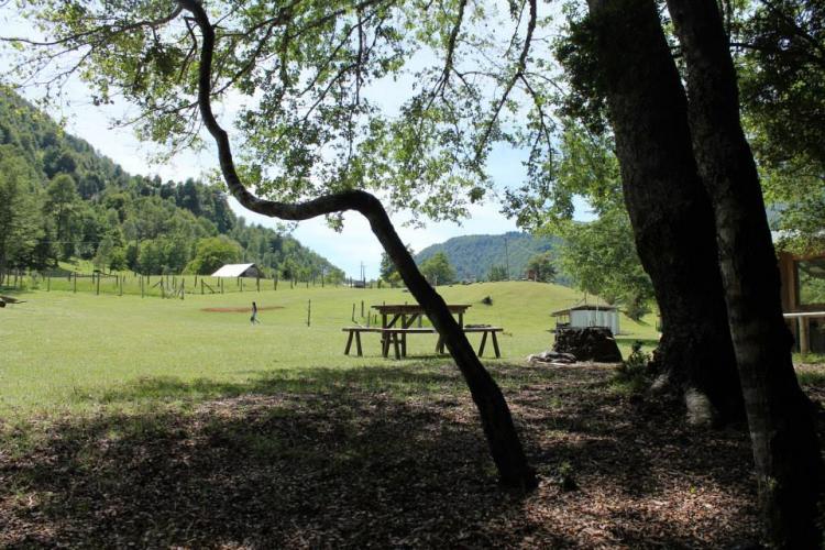Fotografía 5 de Agro Camping La Araucaria en Pucon, Araucania