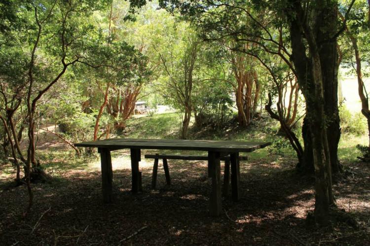 Fotografía 8 de Agro Camping La Araucaria en Pucon, Araucania