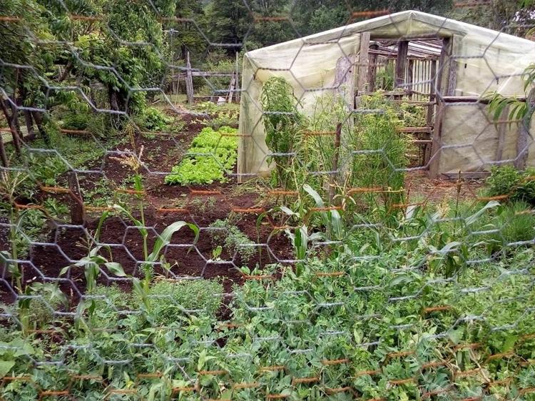 Fotografía 16 de Agro Camping La Araucaria en Pucon, Araucania