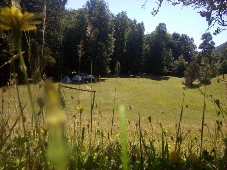 Fotografía 17 de Agro Camping La Araucaria en Pucon, Araucania