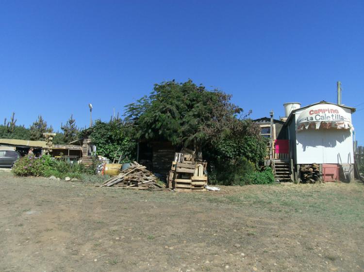 Fotografía 16 de Camping Caletilla en Pichilemu, Ohiggins