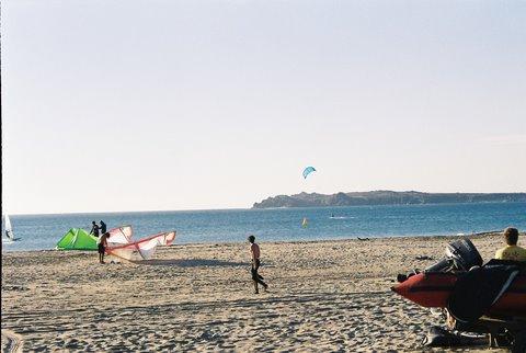 Fotografía 5 de Camping el Bosque de Pichidangui en Coquimbo, Coquimbo
