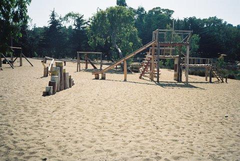 Fotografía 6 de Camping el Bosque de Pichidangui en Coquimbo, Coquimbo