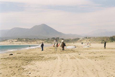 Fotografía 7 de Camping el Bosque de Pichidangui en Coquimbo, Coquimbo