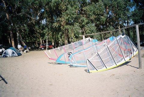 Fotografía 9 de Camping el Bosque de Pichidangui en Coquimbo, Coquimbo