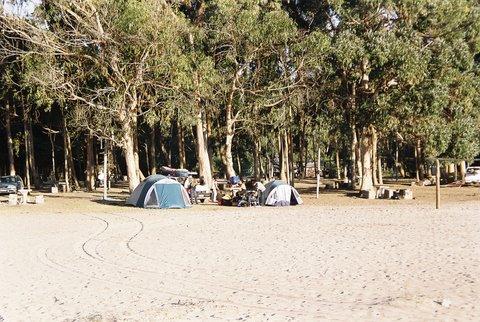 Fotografía 12 de Camping el Bosque de Pichidangui en Coquimbo, Coquimbo