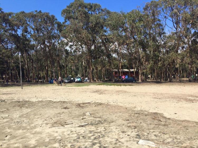 Fotografía 13 de Camping el Bosque de Pichidangui en Coquimbo, Coquimbo