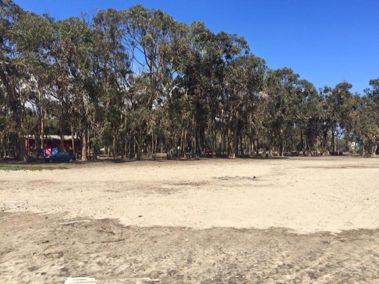 Fotografía 14 de Camping el Bosque de Pichidangui en Coquimbo, Coquimbo