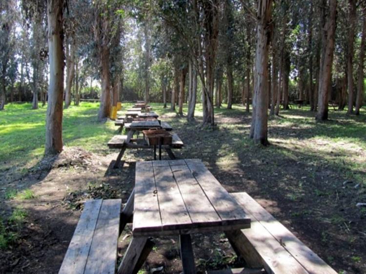 Fotografía 9 de Camping Vista al Cerro en Isla De Maipo, Metropolitana
