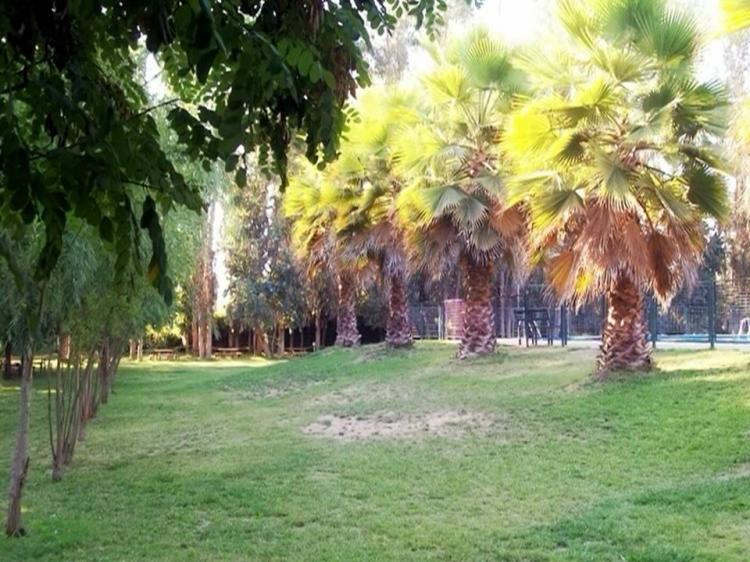 Fotografía 12 de Camping Vista al Cerro en Isla De Maipo, Metropolitana