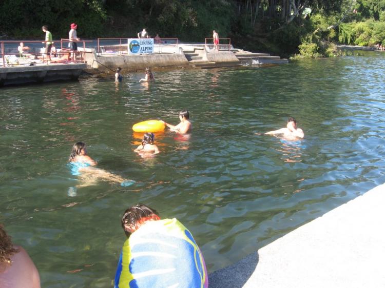 Fotografía 2 de Camping Alpino en Villarrica, Araucania