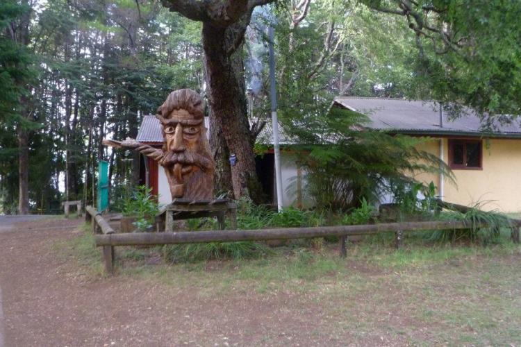 Fotografía 5 de Camping Alpino en Villarrica, Araucania