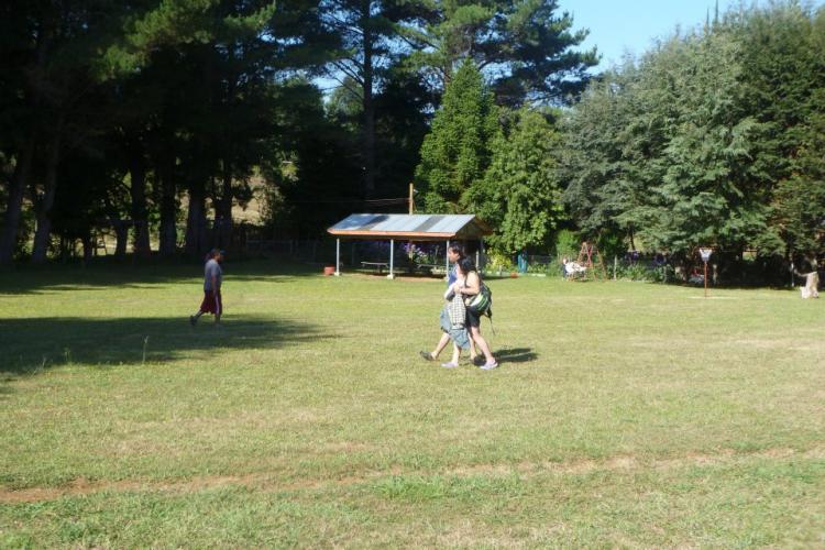 Fotografía 7 de Camping Alpino en Villarrica, Araucania