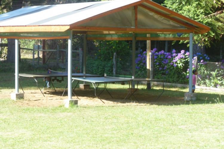 Fotografía 9 de Camping Alpino en Villarrica, Araucania