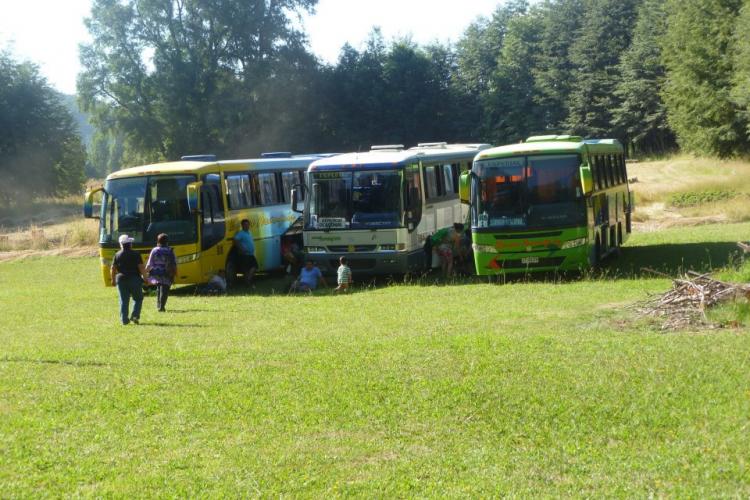 Fotografía 14 de Camping Alpino en Villarrica, Araucania