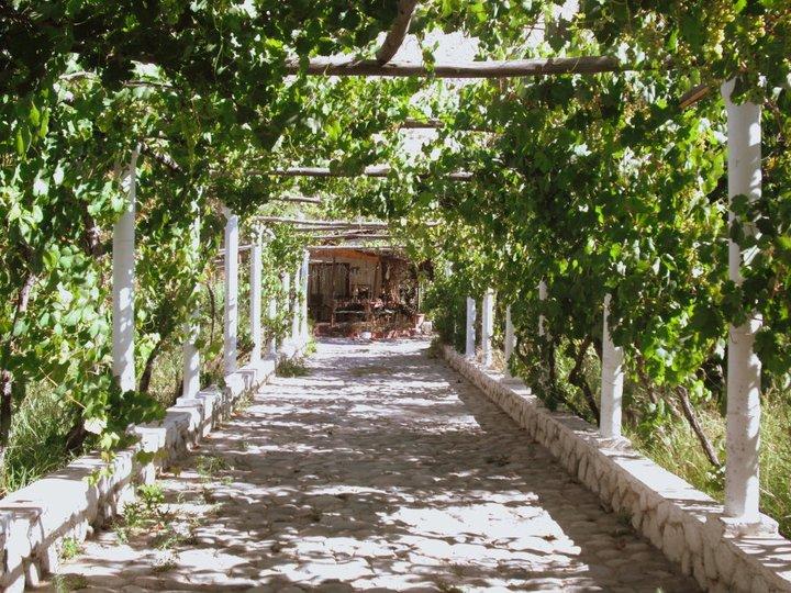Fotografía 7 de Complejo Turístico Santo Domingo en Vicuña, Coquimbo