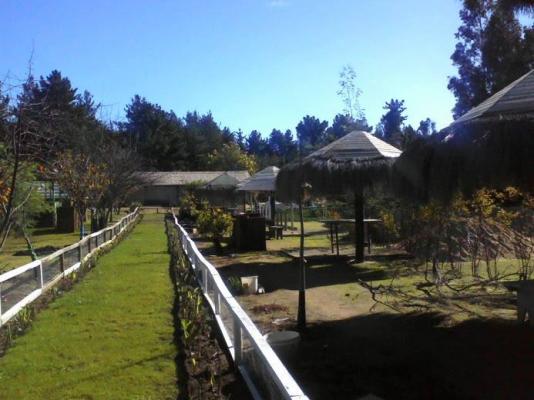 Fotografía 4 de Camping Rancho Casanova en Viña Del Mar, Valparaiso