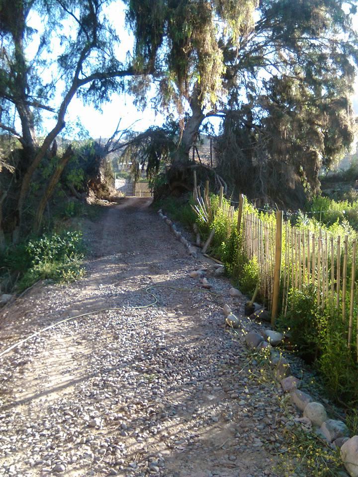 Fotografía 2 de Ayni Camping Naturista en Vicuña, Coquimbo