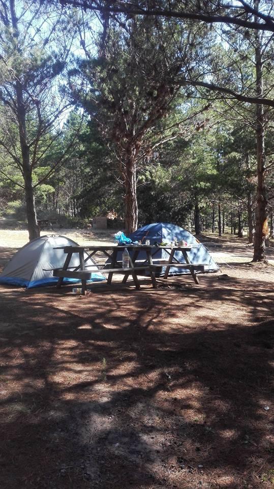 Fotografía 8 de Camping Islote las Gaviotas en Valparaiso, Valparaiso