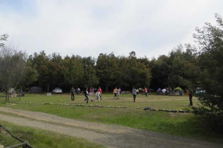 Fotografía 2 de Camping Reserva Nacional Lago Peñuelas en Valparaiso, Valparaiso