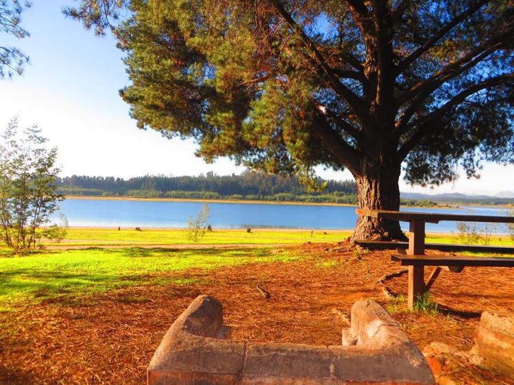 Fotografía 7 de Camping Reserva Nacional Lago Peñuelas en Valparaiso, Valparaiso