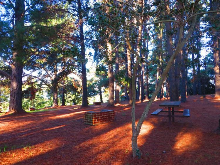 Fotografía 8 de Camping Reserva Nacional Lago Peñuelas en Valparaiso, Valparaiso