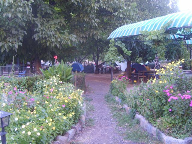 Fotografía 2 de Camping Los Nogales de Roan Jase en Cajon del Maipo, Metropolitana