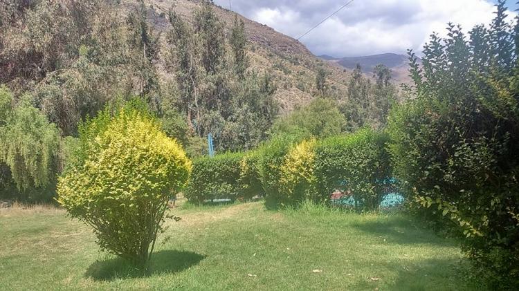 Fotografía 3 de Camping Parque del Rio en Cajon del Maipo, Metropolitana