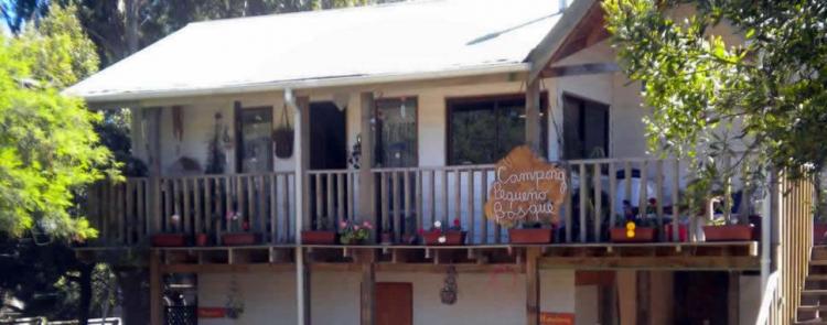 Fotografía 5 de Camping Pequeño Bosque en Pichilemu, Ohiggins