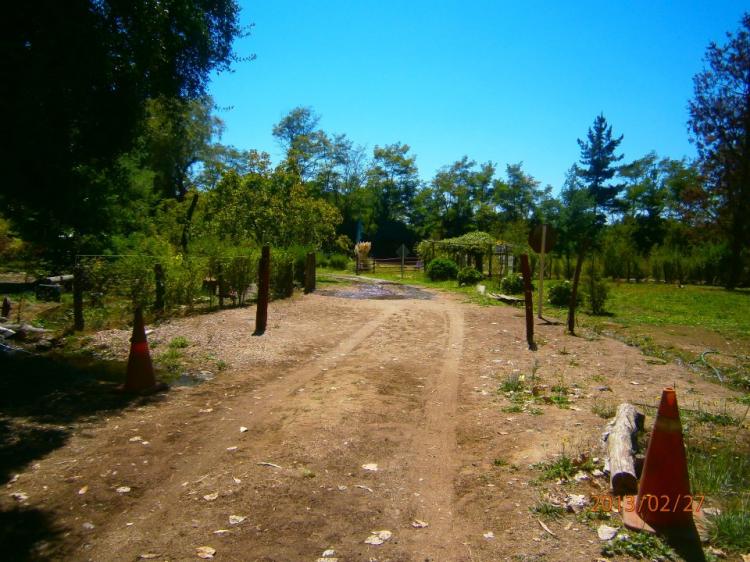Fotografía 19 de Camping Achiquegueno en Linares, Maule