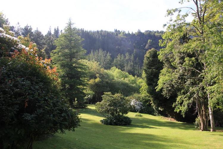 Fotografía 14 de Camping Trafanpulli en Cunco, Araucania