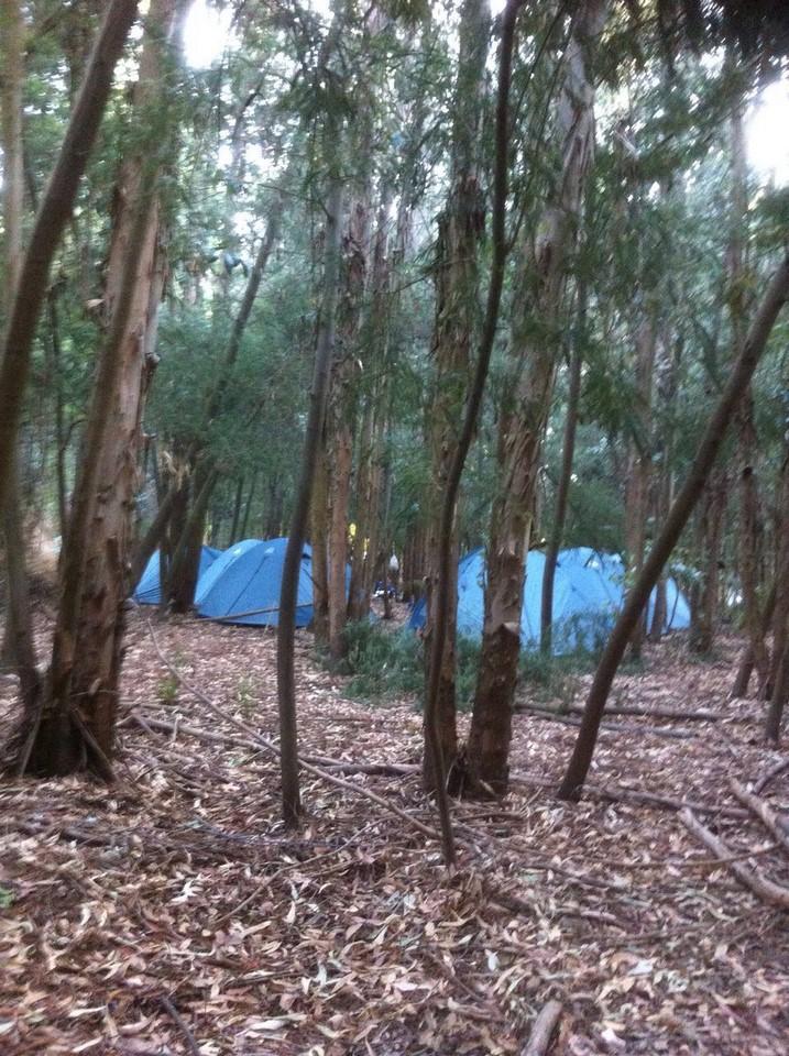 Fotografía 2 de Camping Centro Silvestre EL Sauce en San Rafael, Maule