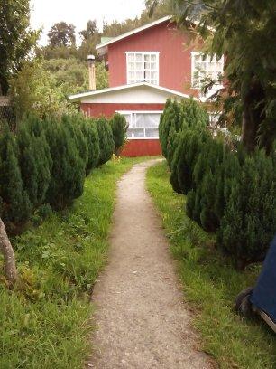 Fotografía 3 de Camping Rio Quilén en Quellon, Los Lagos