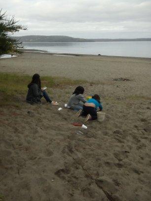 Fotografía 8 de Camping Rio Quilén en Quellon, Los Lagos