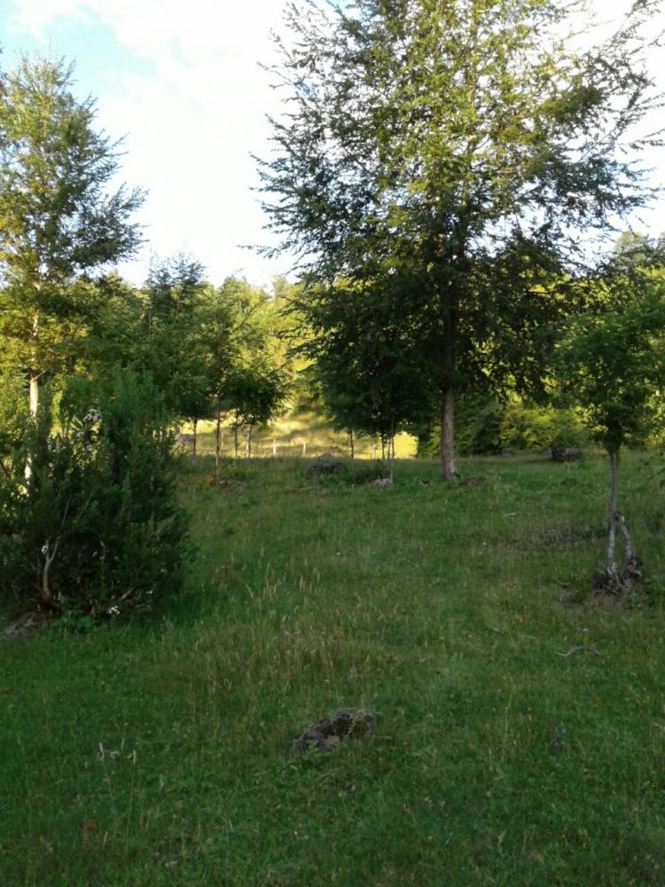 Fotografía 2 de Camping La Ruca de Doña TEO en Panguipulli, Los Rios