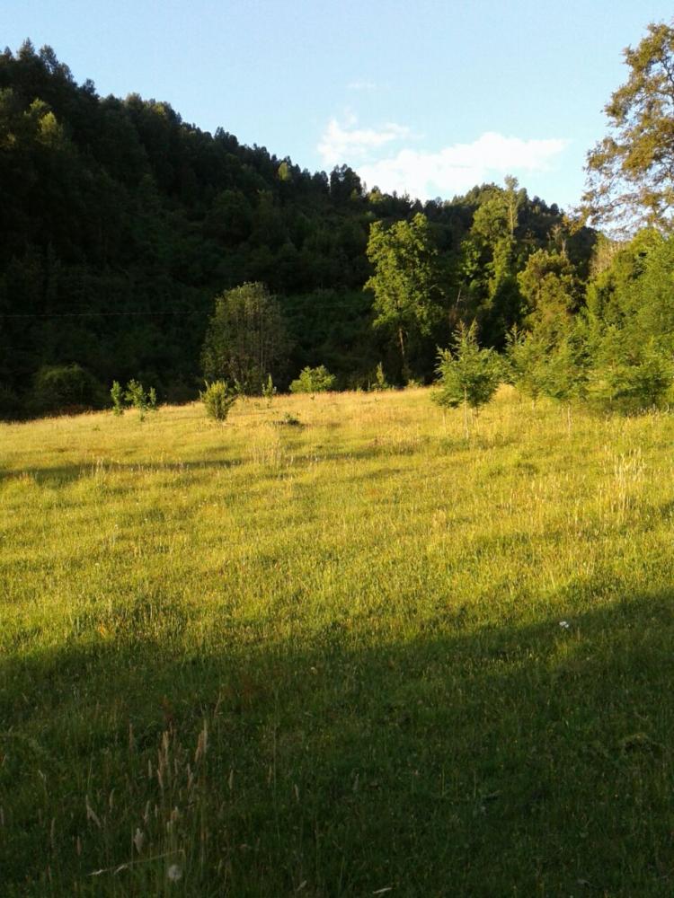 Fotografía 3 de Camping La Ruca de Doña TEO en Panguipulli, Los Rios