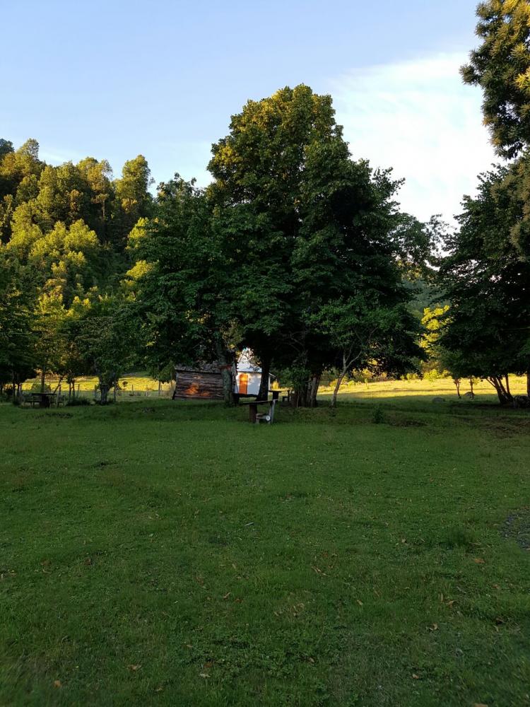 Fotografía 4 de Camping La Ruca de Doña TEO en Panguipulli, Los Rios