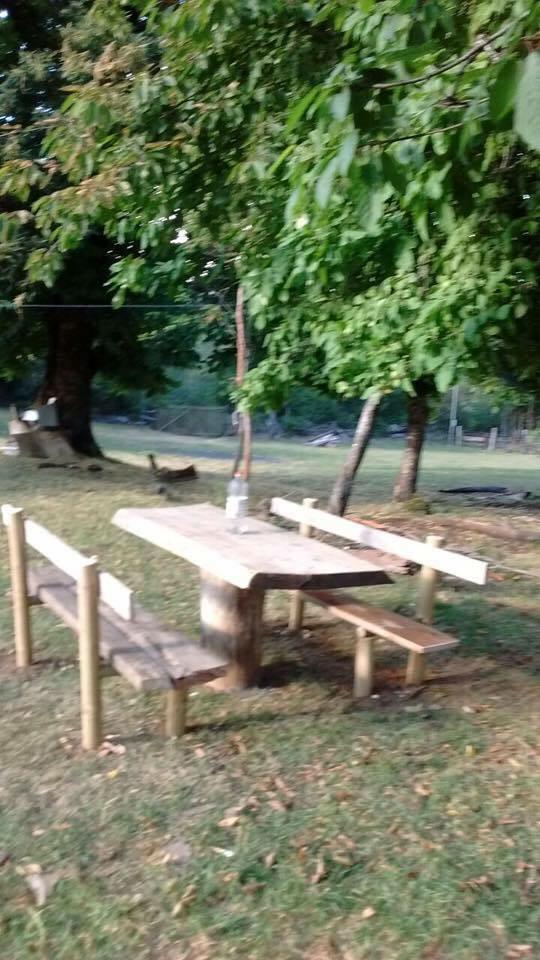 Fotografía 11 de Camping La Ruca de Doña TEO en Panguipulli, Los Rios