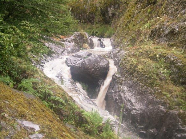 Fotografía 8 de Camping La Ruca de Doña TEO en Panguipulli, Los Rios