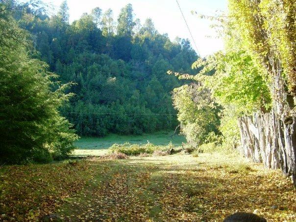 Fotografía 9 de Camping La Ruca de Doña TEO en Panguipulli, Los Rios