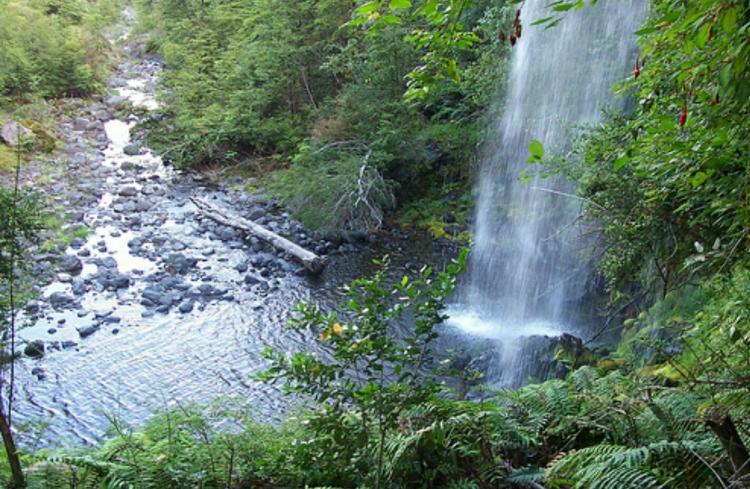 Fotografía 19 de Camping La Ruca de Doña TEO en Panguipulli, Los Rios