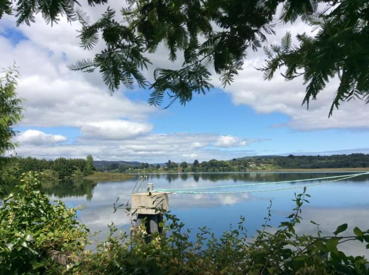 Fotografía 3 de Camping Orilla Verde en Valdivia, Los Rios