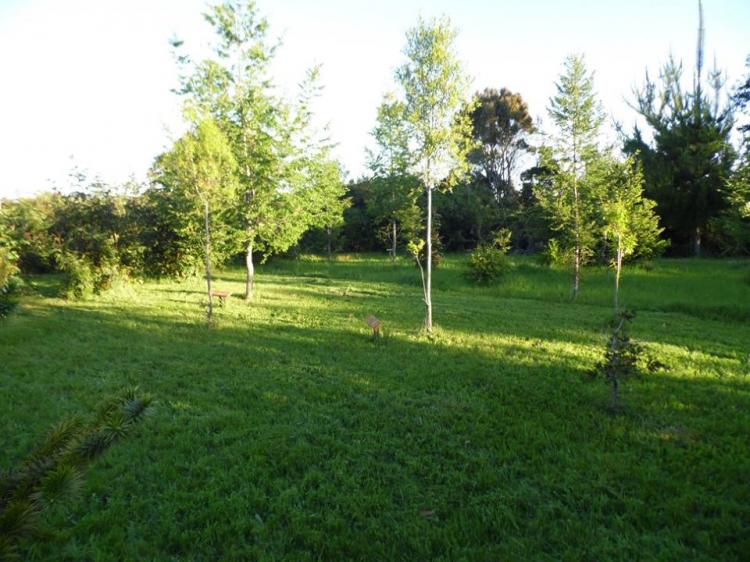 Fotografía 16 de Camping Turismo Rural Los Arrayanes en Cañete, Bio Bio