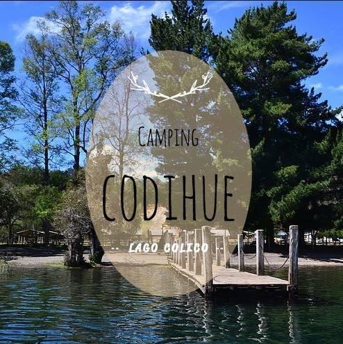 Fotografía 4 de Camping Codihue en Cunco, Araucania