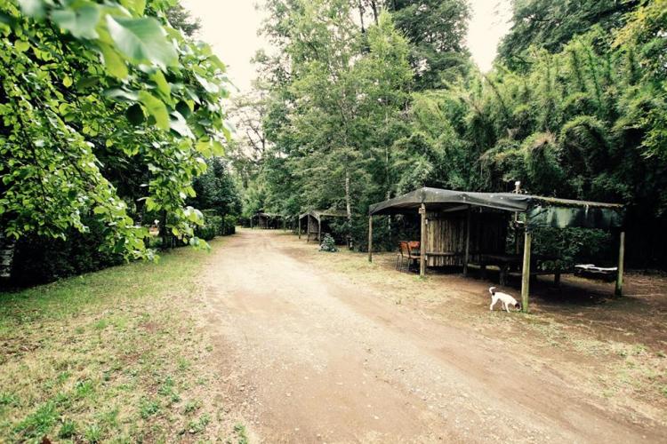 Fotografía 3 de Camping Estero Cobulto en Cunco, Araucania